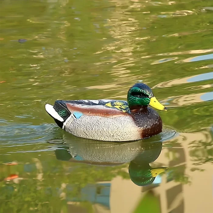 S21e80aece0914266907c11ed3090cf15o.png_960x960 S21e80aece0914266907c11ed3090cf15o.png_960x960