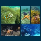 S67f9ab0e67094501a3368e47a9cbc4995.png_960x960