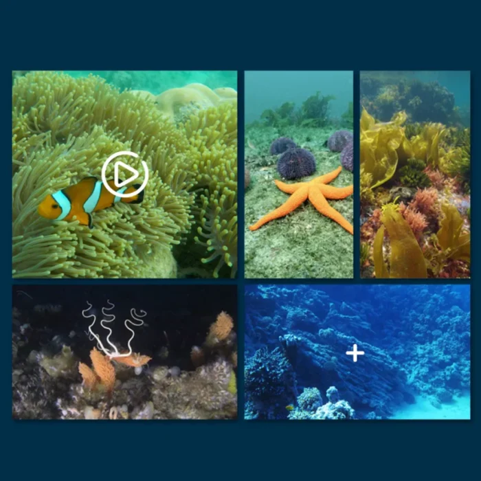 S67f9ab0e67094501a3368e47a9cbc4995.png_960x960